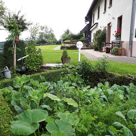 Ferienwohnung Huegelhaus Plütscheid Eksteriør bilde